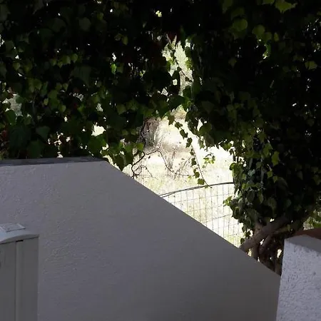 Beautiful 70 Meters From The Sea Apartment Pefkochori